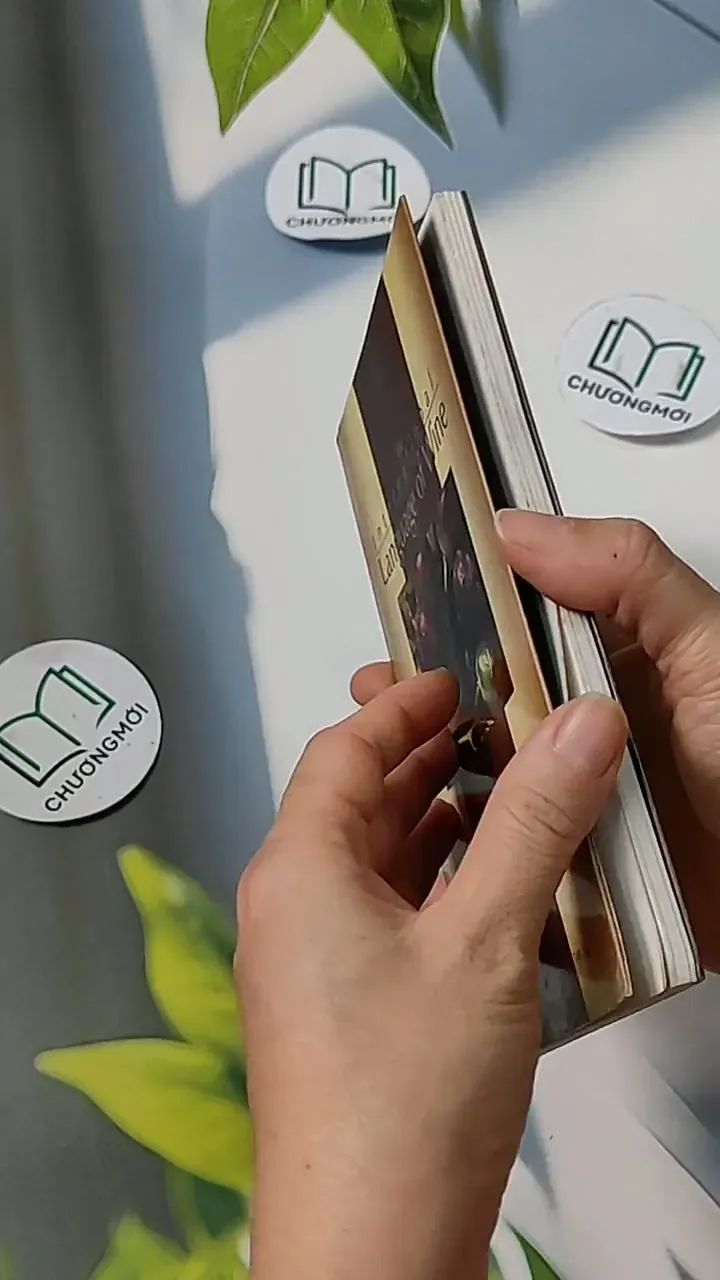 The International Language of Wine - Paul Le Lacheurr 703061