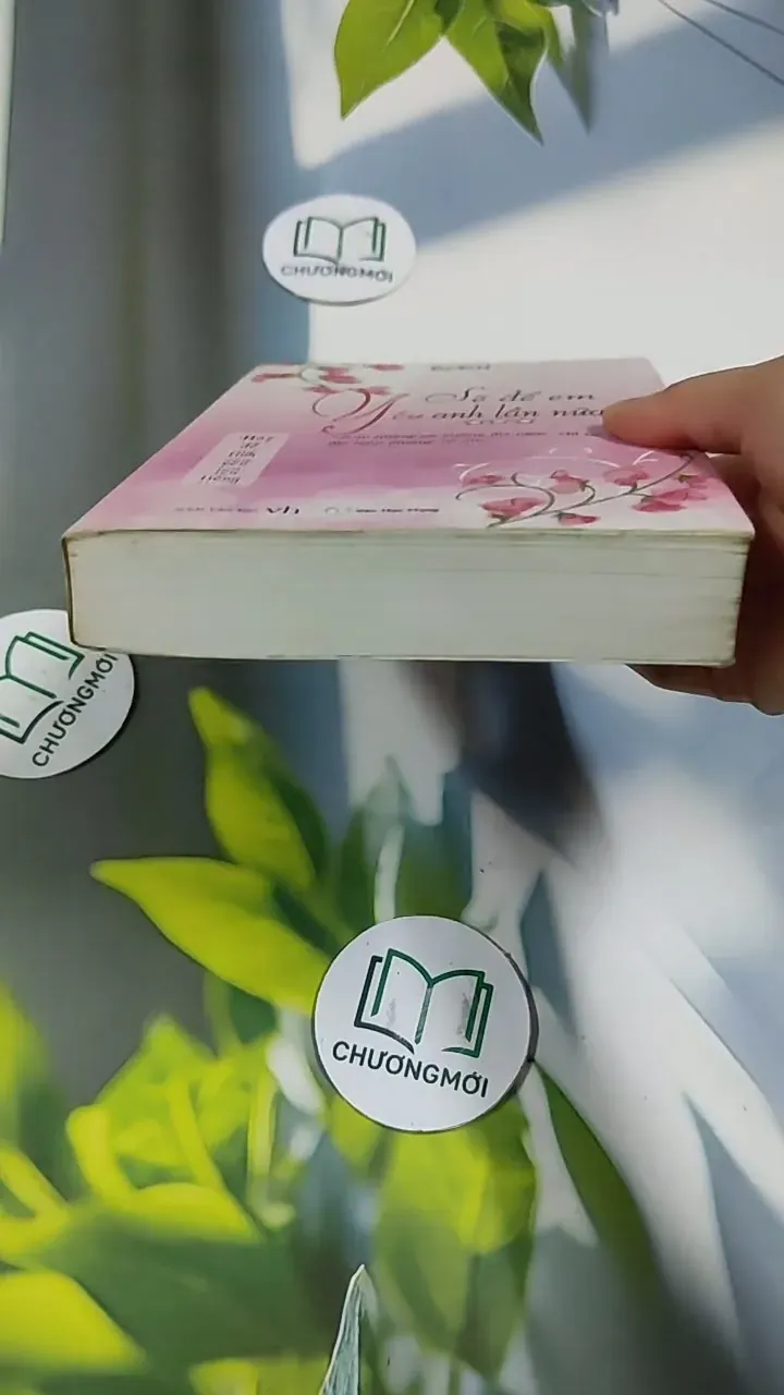 Sẽ Để Em Yêu Anh Lần Nữa (tập 3) - Born 705762