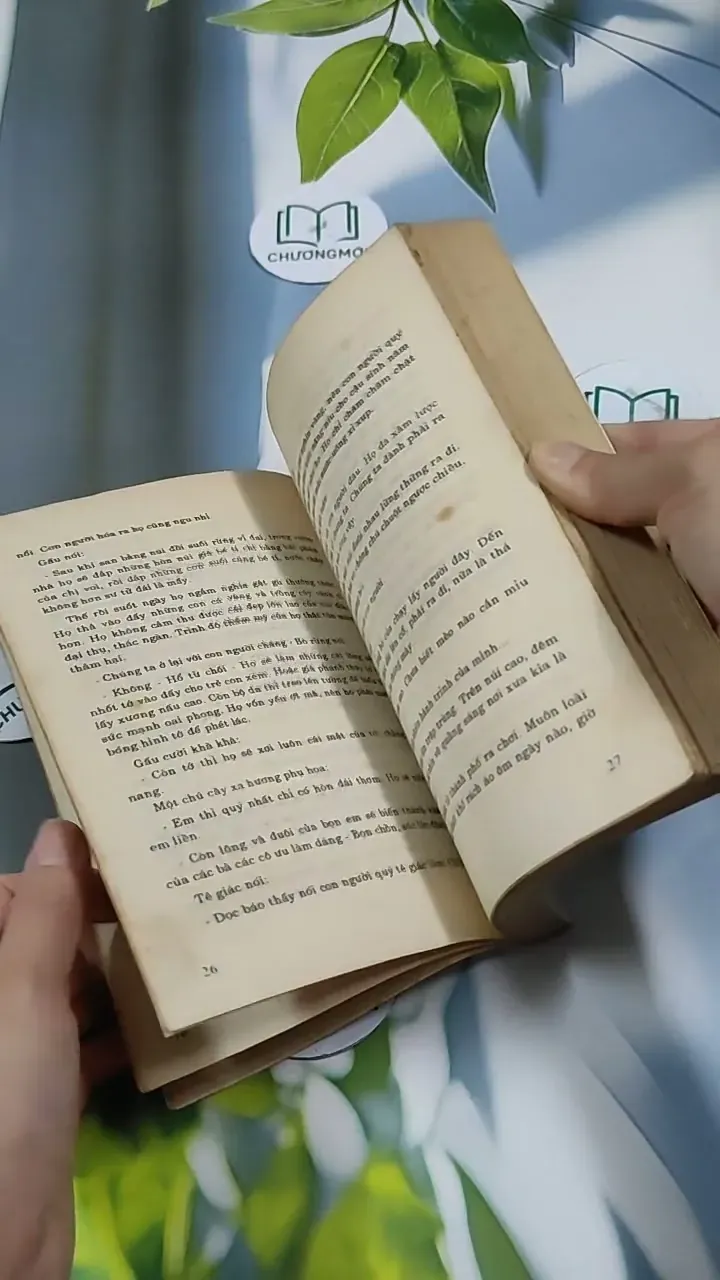 Hoa Hoàng Lan - Nguyễn Phan Hách 713866