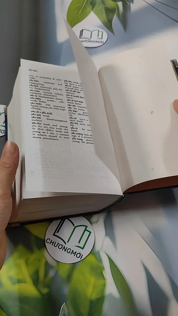 Từ Điển Việt - Anh 749584