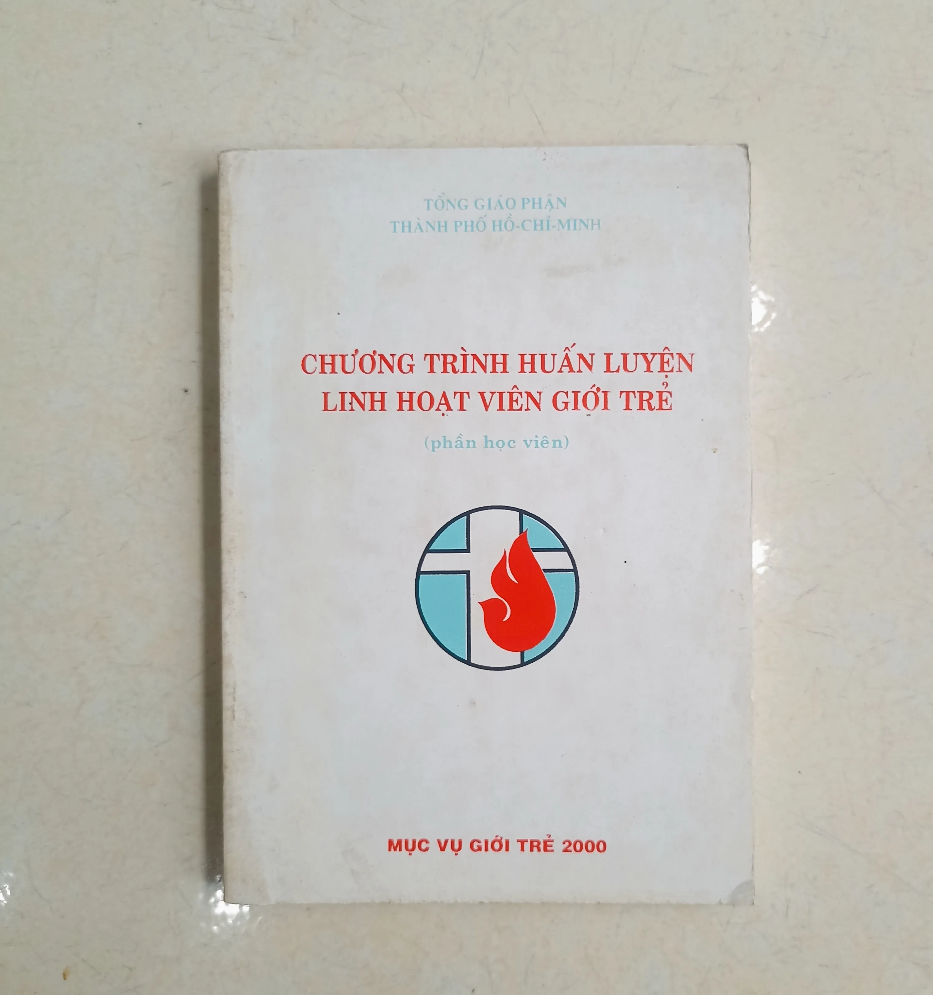 Chương trình huấn luyện linh hoạt viên giới trẻ 🌻 by  - Sách Book Cover - Ngọc Hiển Books