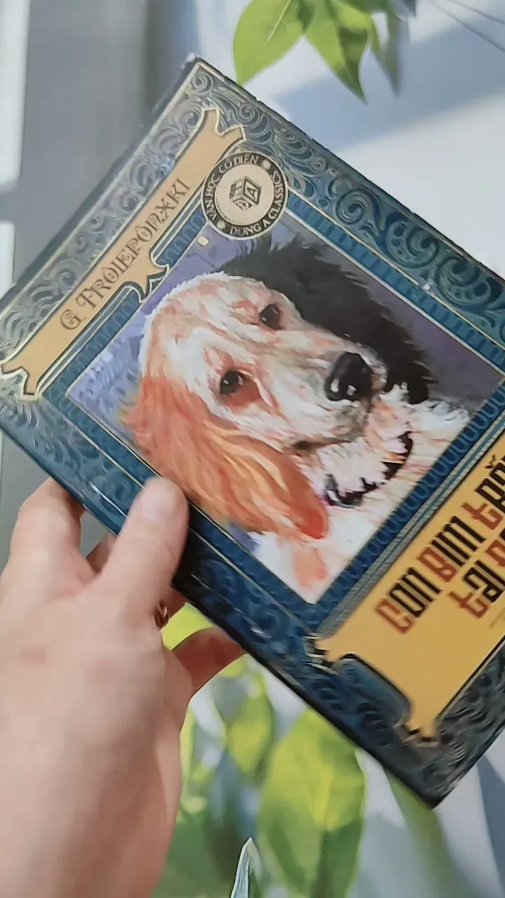 Con Bim Trắng Tai Đen 744686