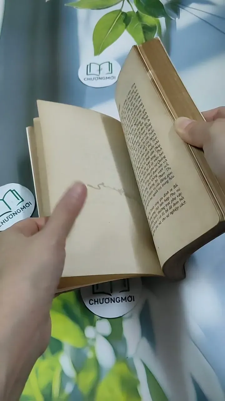 [MIỄN PHÍ BỌC SÁCH] Những Chặng Đường Của Người Mẹ - Hồi Ký Phạm Thị Trinh - Phạm Như Thơ 713901