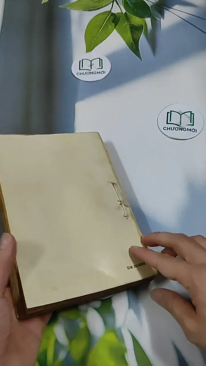 TêRêDa - G. AMaĐô 713871