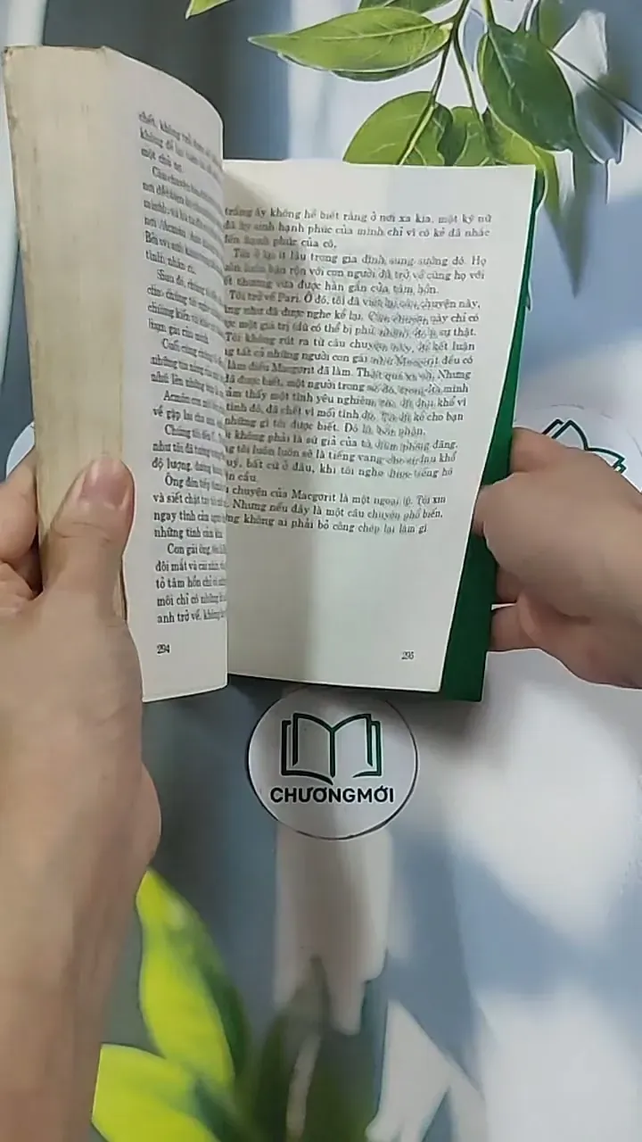 Trà Hoa Nữ 674981