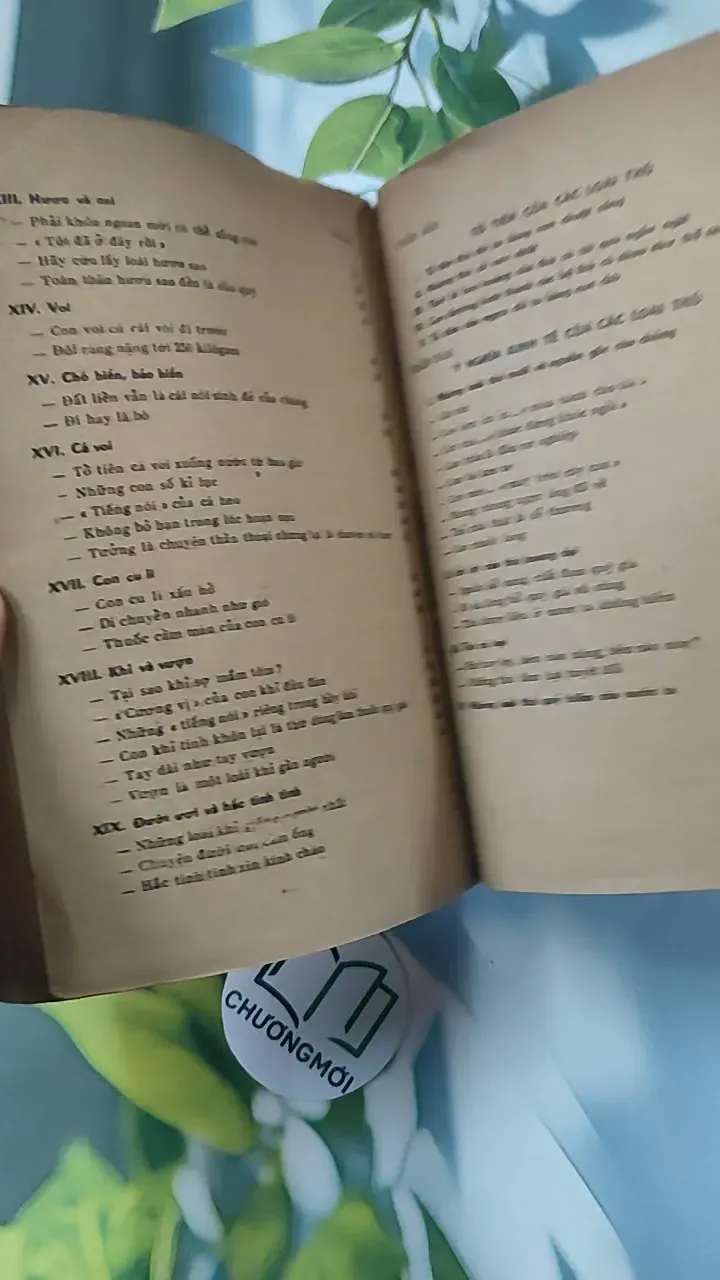 [XƯA] Tìm Hiểu Các Loài Thú (1988) - Lê Vũ Khôi 775993