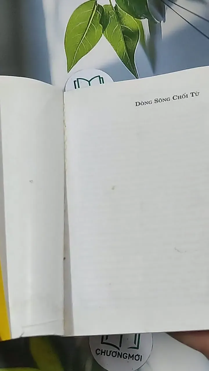 Dòng sông chối từ - Bùi Việt Sỹ 688701