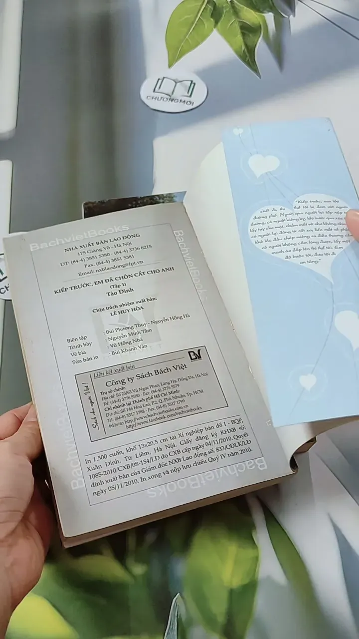 Bộ Kiếp Trước Em Đã Chôn Cất Cho Anh - Tào Đình 744693