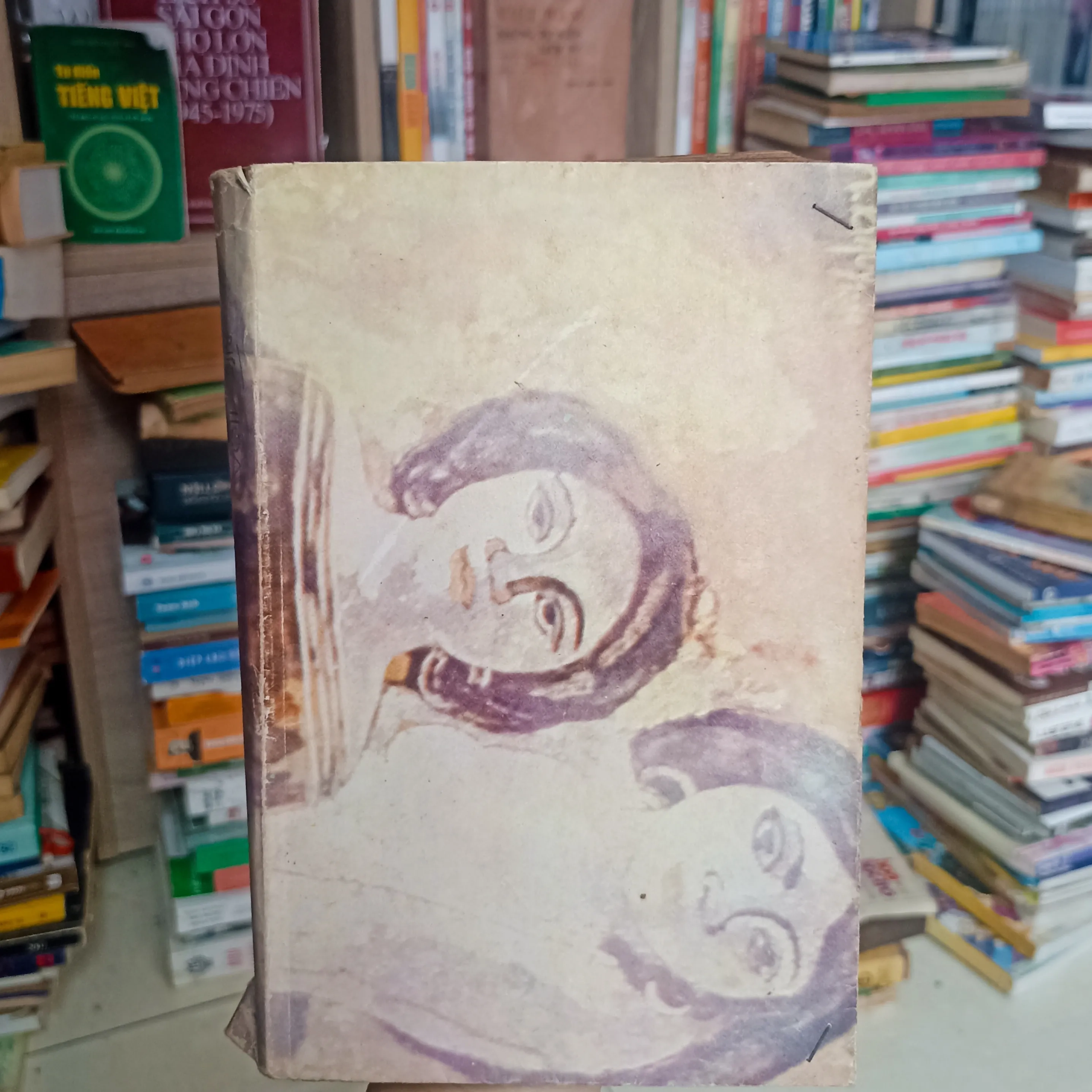 Bức hoạ Maja thoả thân 🌻 by  - Sách Book Cover - Ngọc Hiển Books