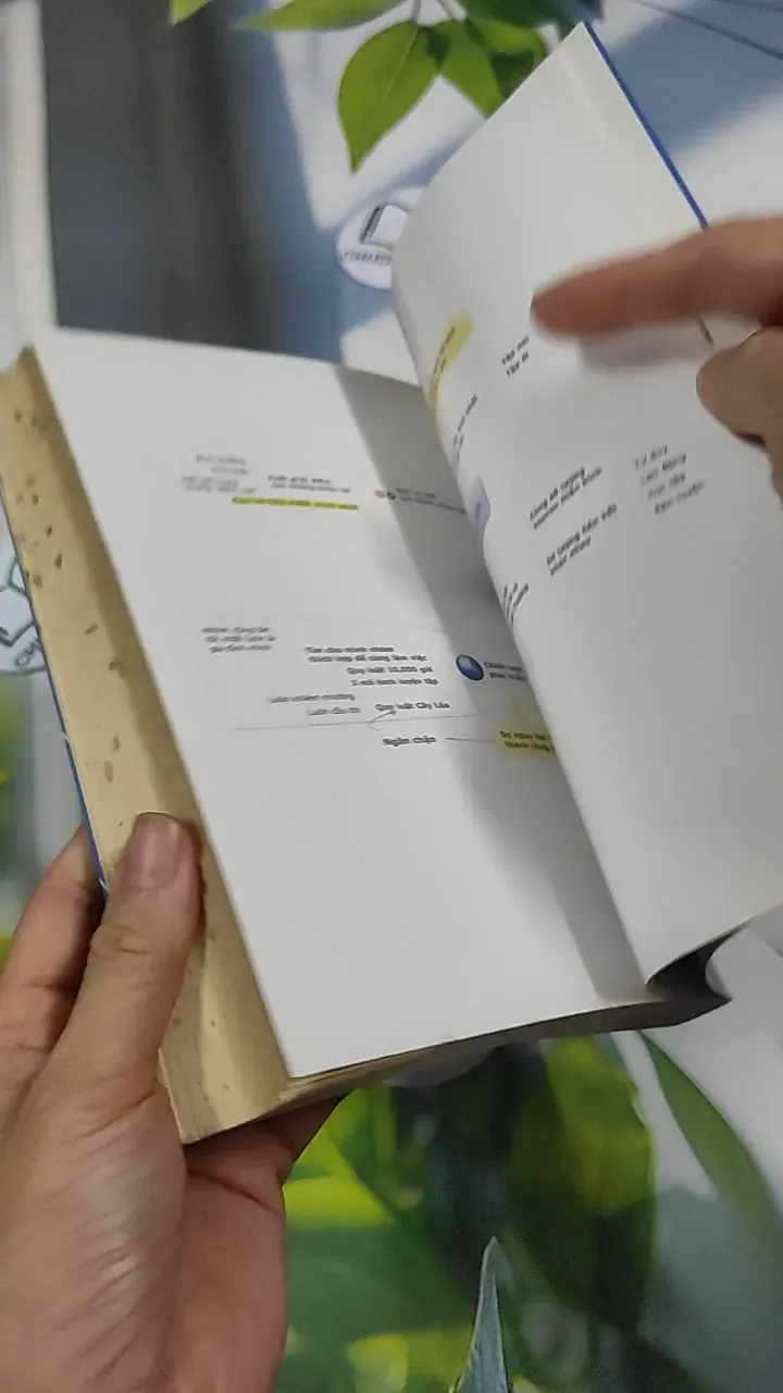 Sống Có Giá Trị Thắp Ngọn Đuốc Xanh 787101