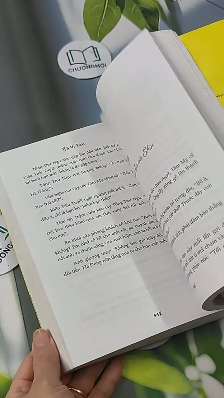 Sự Nhầm Lẫn Tai Hại - Bộ Vi Lan 705599