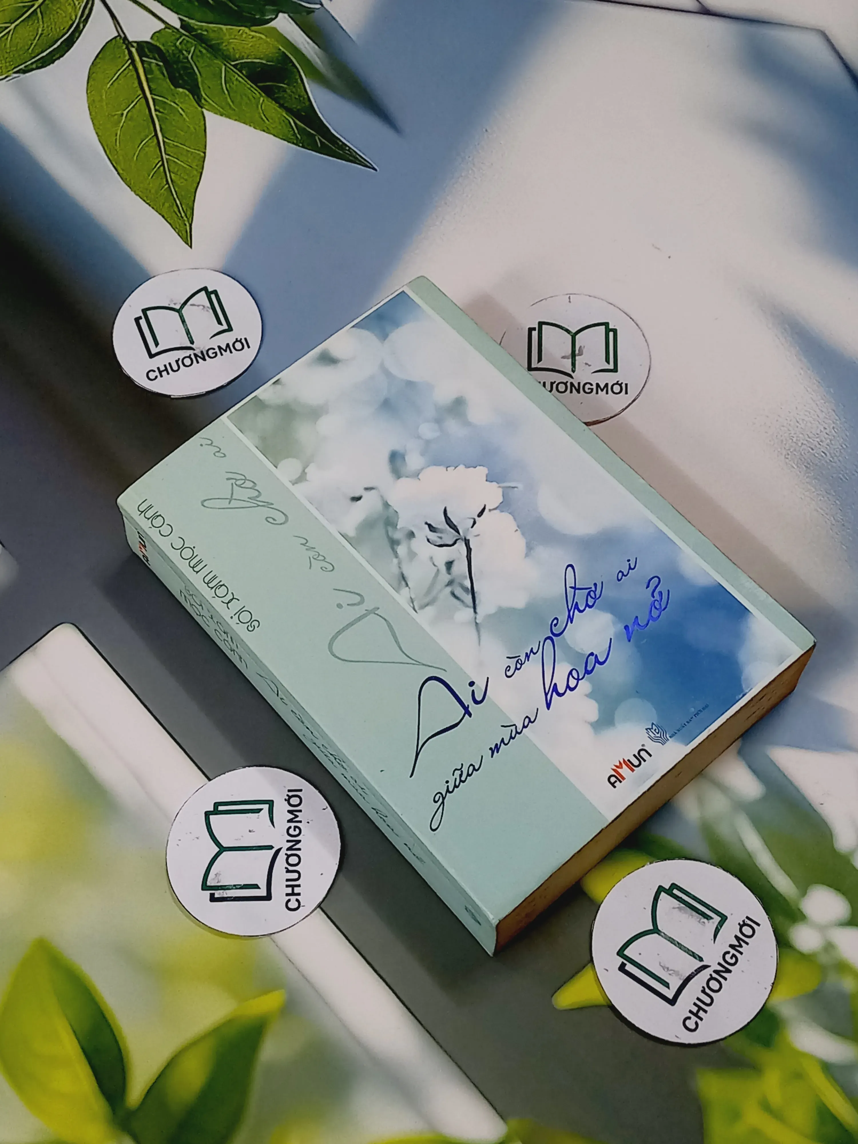 Ai Còn Chờ Ai Giữa Mùa Hoa Nở - Sói Xám Mọc Cánh