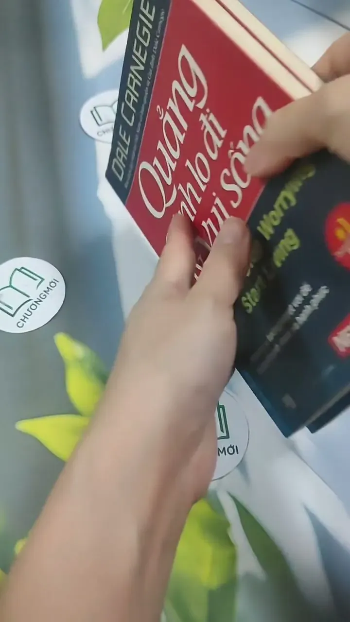 Combo: Quẳng Gánh Lo Đi & Vui Sống - Đắc Nhân Tâm - Dale Carnegie 715574