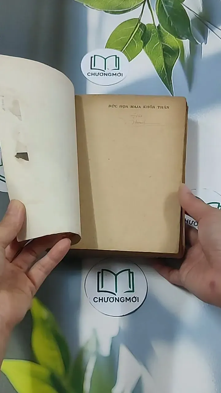 Bức Họa Maja Khỏa Thân (1986) - Samuel Edwards 674968