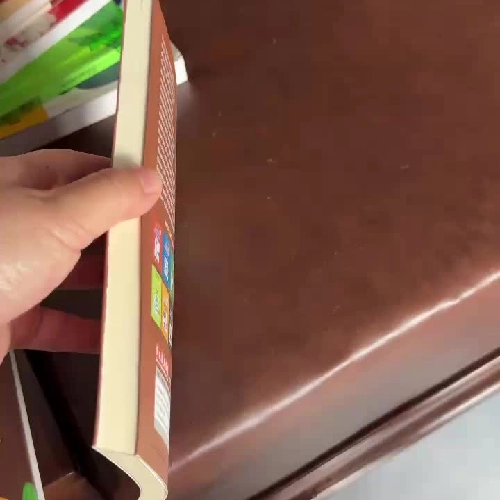 Nhật Ký Chú Bé Nhút Nhát – Kỳ Đà Cản Mũi | Jeff Kinney- K5