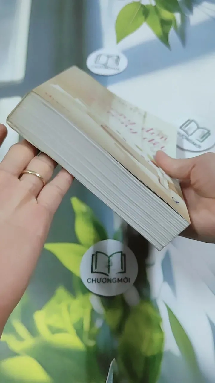 Giường Đơn Hay Giường Đôi - Cầm Sắt Tỳ Bà 744730