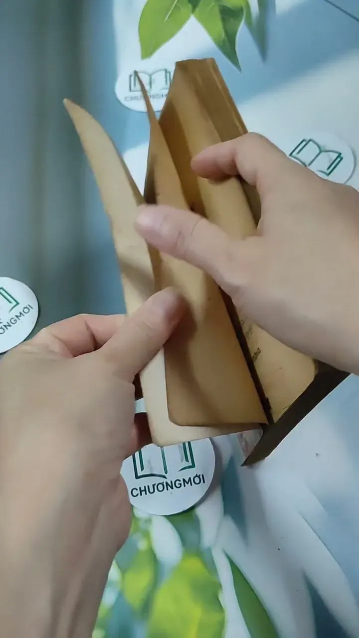 Tỳ Vết Tình Yêu - Thanh Lan 713847