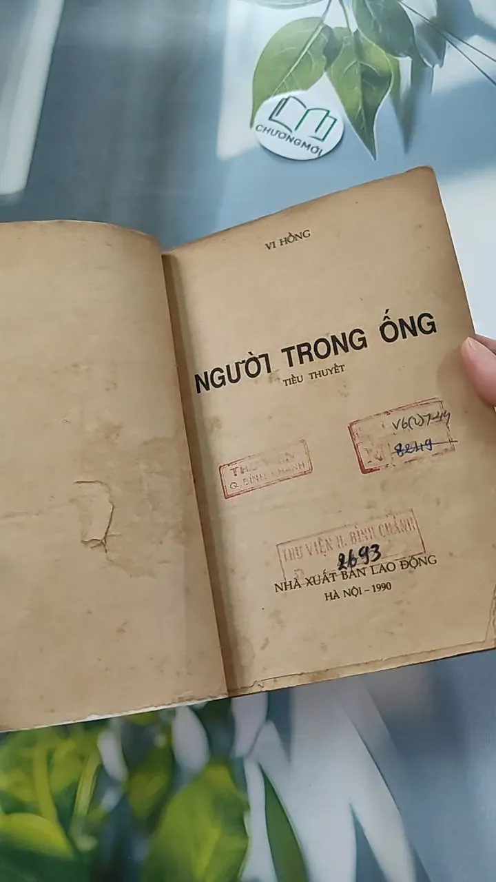 [XƯA] Người Trong Ống (1990) - Vi Hồng 776053
