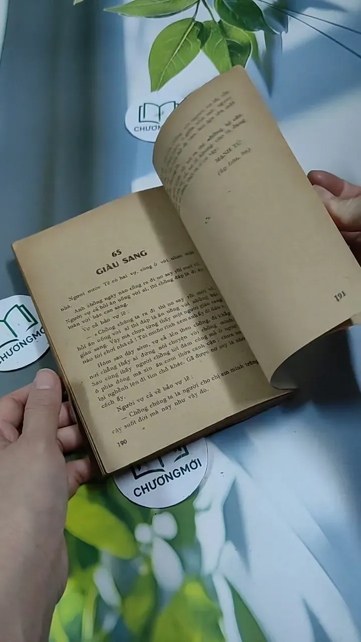 Cái Cười Của Thánh Nhân - Nguyễn Duy Cần 713889