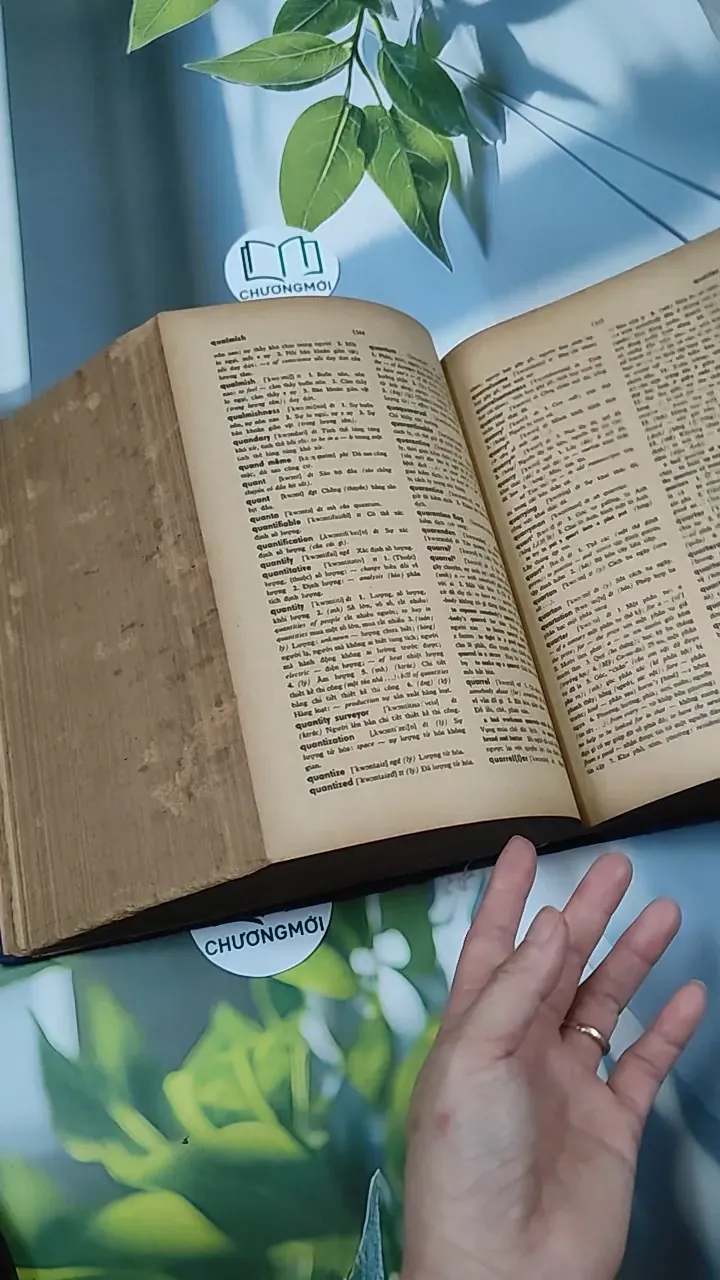 [MIỄN PHÍ BỌC SÁCH] Từ Điển Anh - Việt - Viện Ngôn Ngữ 750747