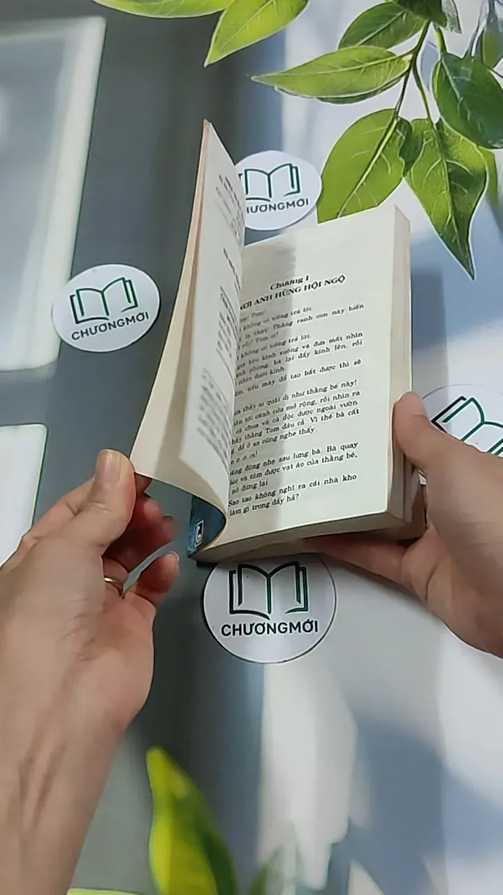 Những Cuộc Phiêu Lưu Của Tom Sawyer 604591