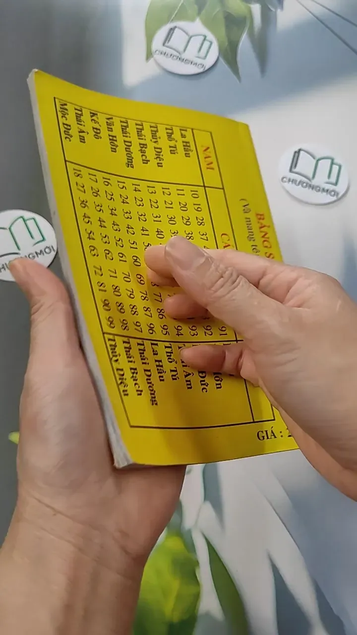 Cao Ly Đầu Hình 775958