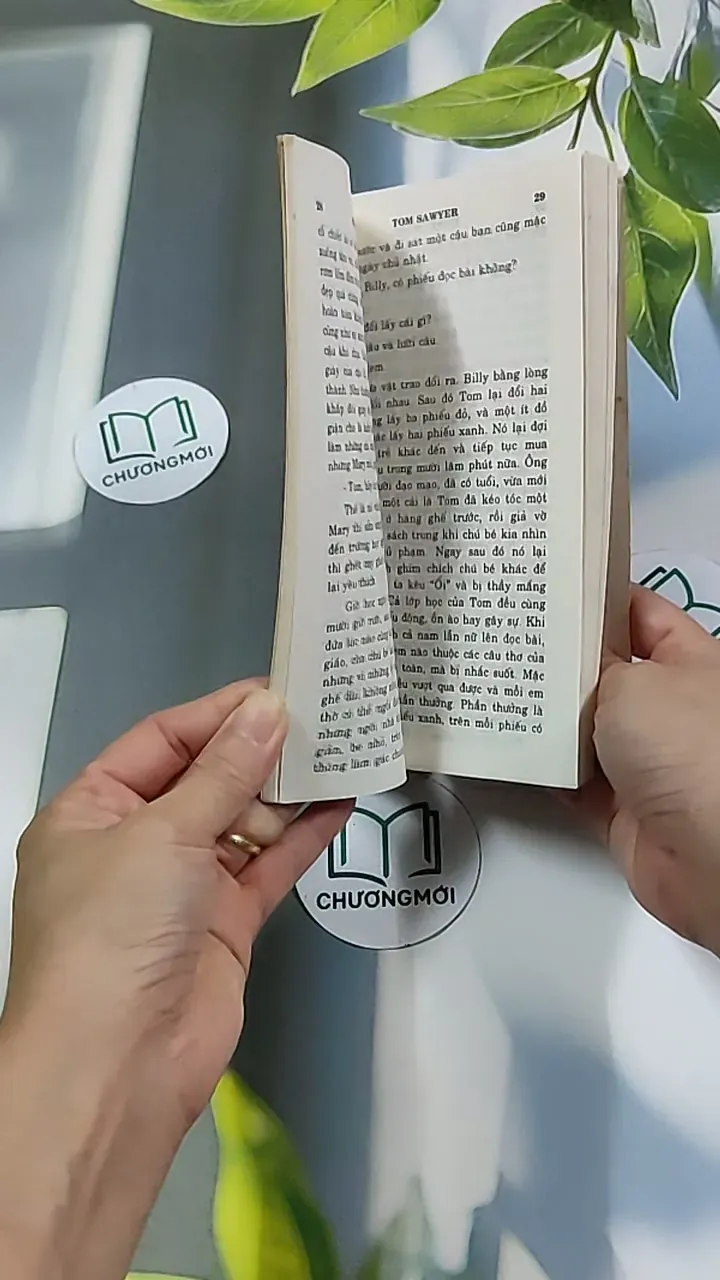 Những Cuộc Phiêu Lưu Của Tom Sawyer 604591