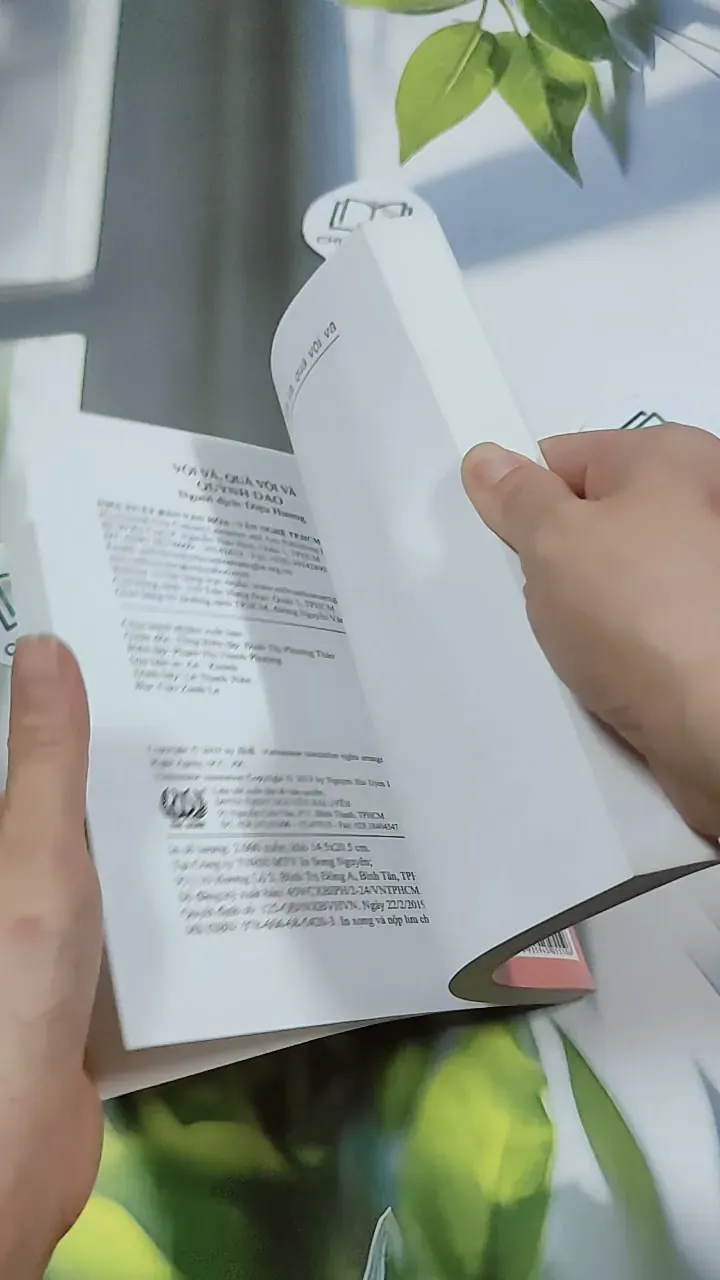 Vội Vã, Quá Vội Vã - Quỳnh Dao 744717