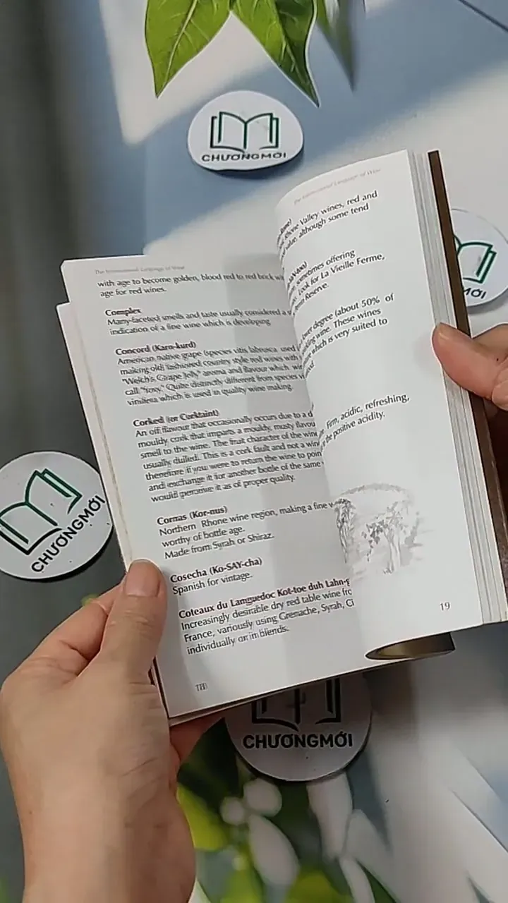 The International Language of Wine - Paul Le Lacheurr 703061