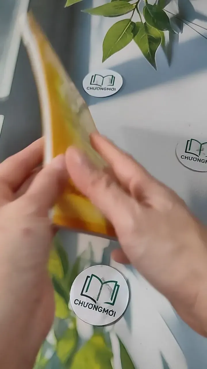 Nghiên Cứu Phương Pháp Khai Thác Tiềm Năng Chu Kỳ Thứ 2 Của Con Người - Phạm Đình Nghi 727276