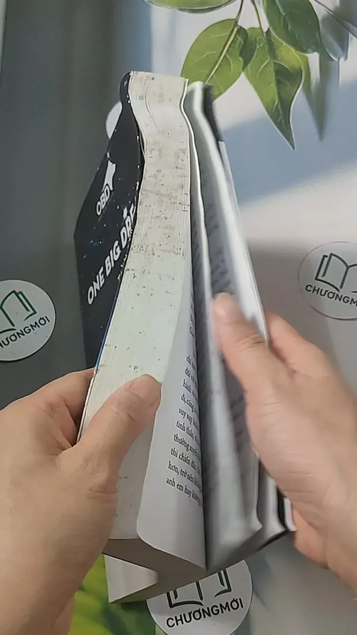 Từ bình thường trở nên phi thường - One Big Dream - Cộng đồng OBD 688491