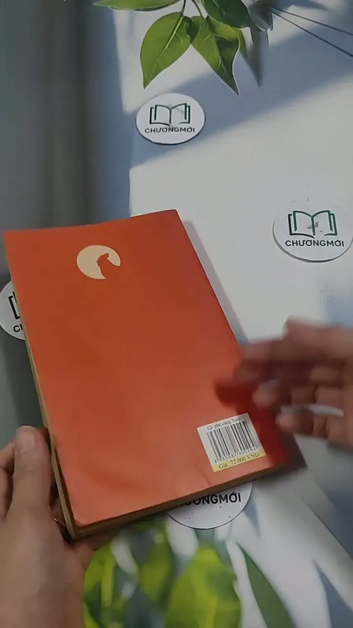 Cà Phê Cùng Tony - Tony Buổi Sáng 715603