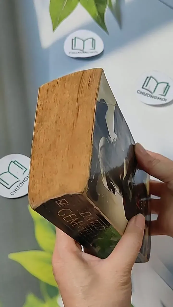 [MIỄN PHÍ BỌC SÁCH] Lord of the Silver Bow: Troy - David Gemmell 703083