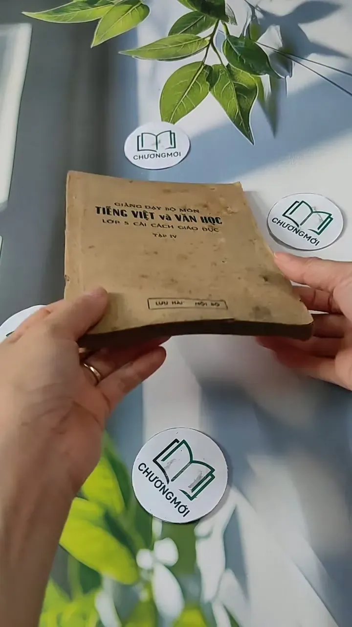 Giảng dạy bộ môn Tiếng Việt và Văn Học lớp 5 cải cách giáo dục (tập 4) - Đặng Mạnh Thường 713804