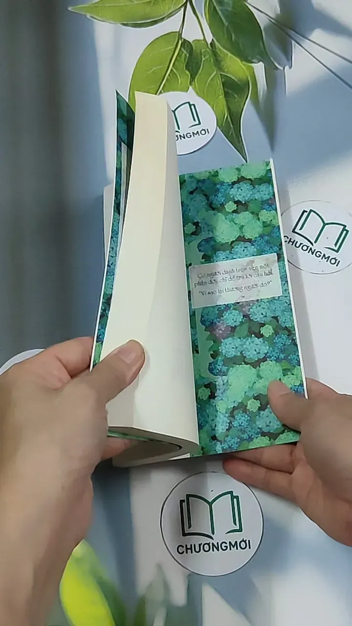 Vì sao ta thương người đó - Huy Hải 688717