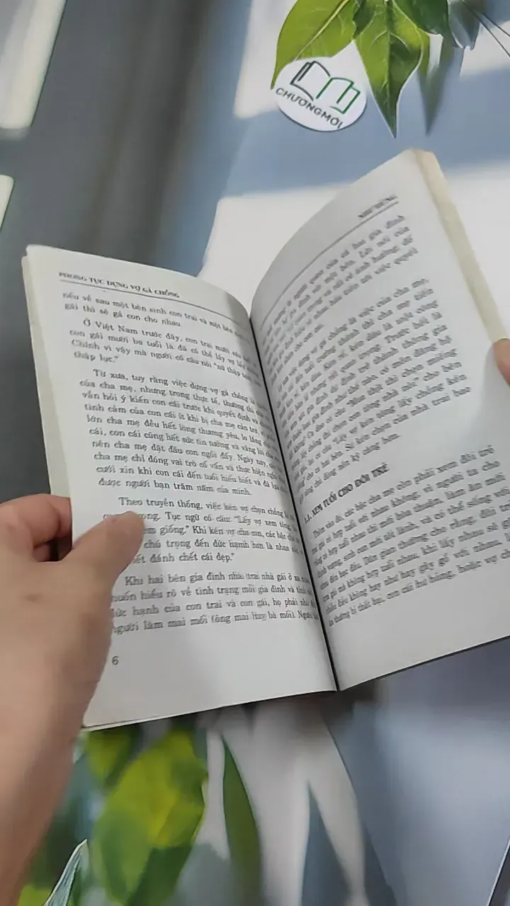 Phong Tục Dựng Vợ Gả Chồng - Như Hùng 776135