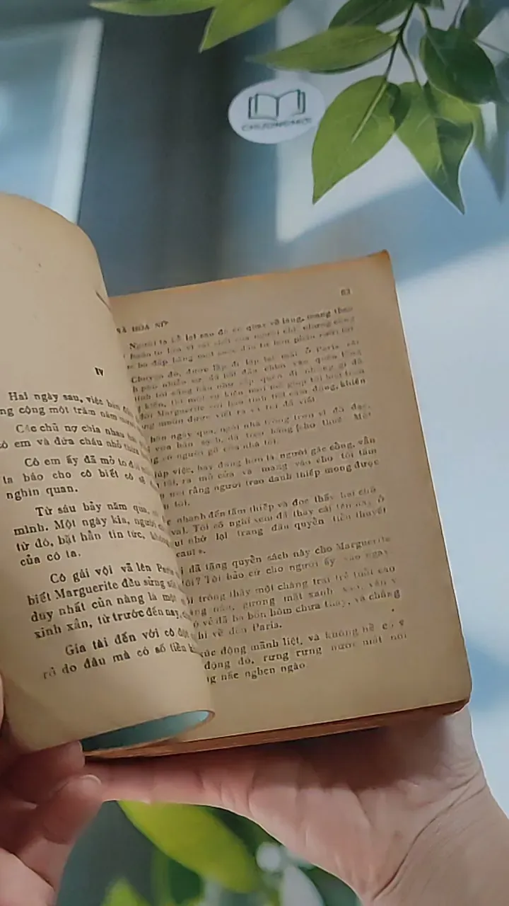 Trà hoa nữ (1987) - Alexander Dumas con 607733