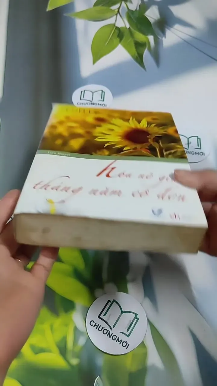 Hoa Nở Giữa Tháng Năm Cô Đơn - Sênh Lý 705743