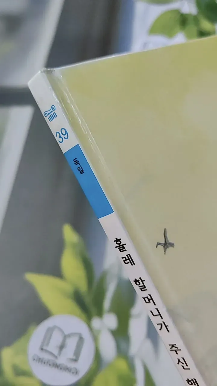 [Tặng nẹp góc] Truyện thiếu nhi Hàn Quốc: Moyamo Anu 39 -  모야모 아누와: 홀레 할머니가 주신 행운과 불행 732040