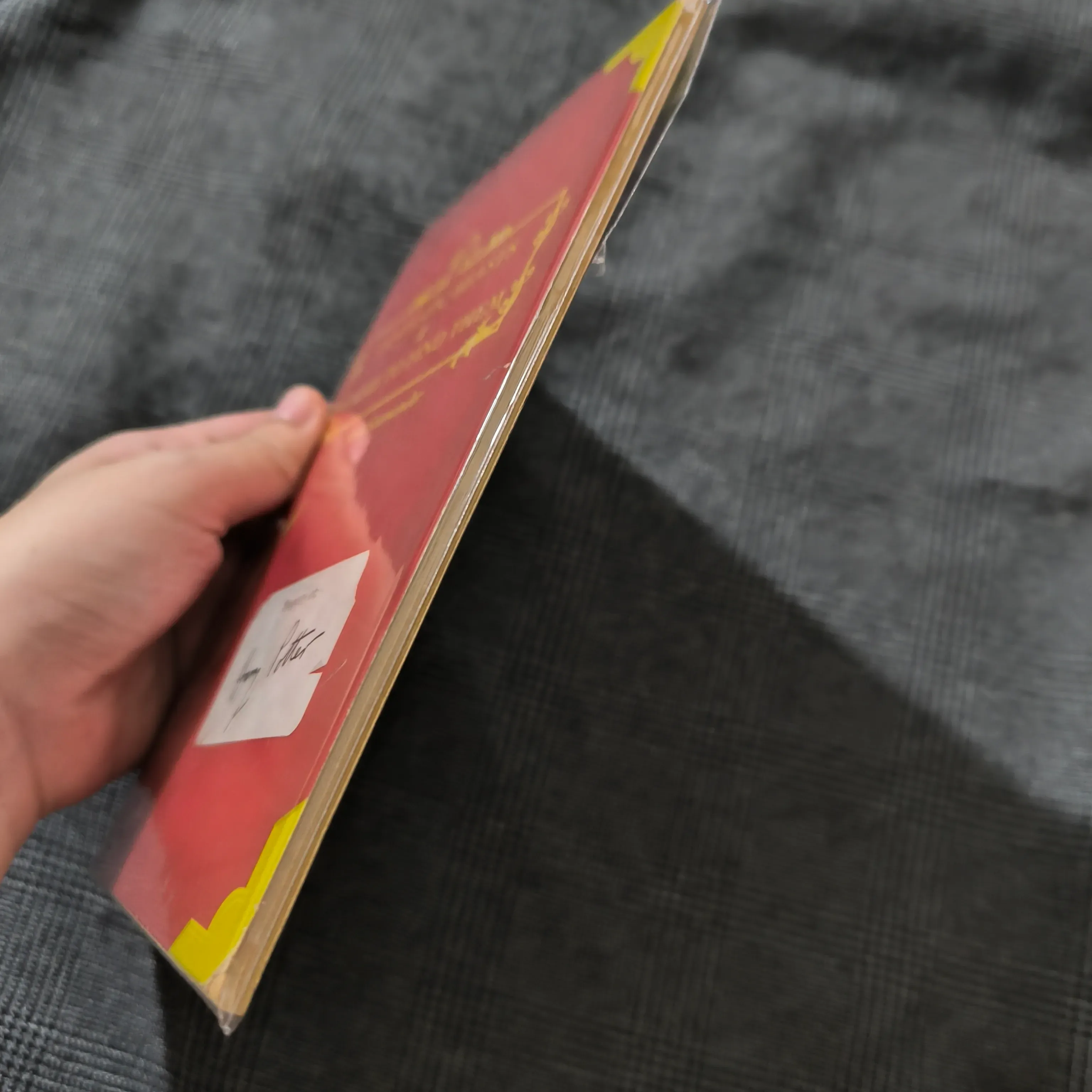 (Harry Potter) Fantastic Beasts & Where to find them - Newt Scamander 1005100