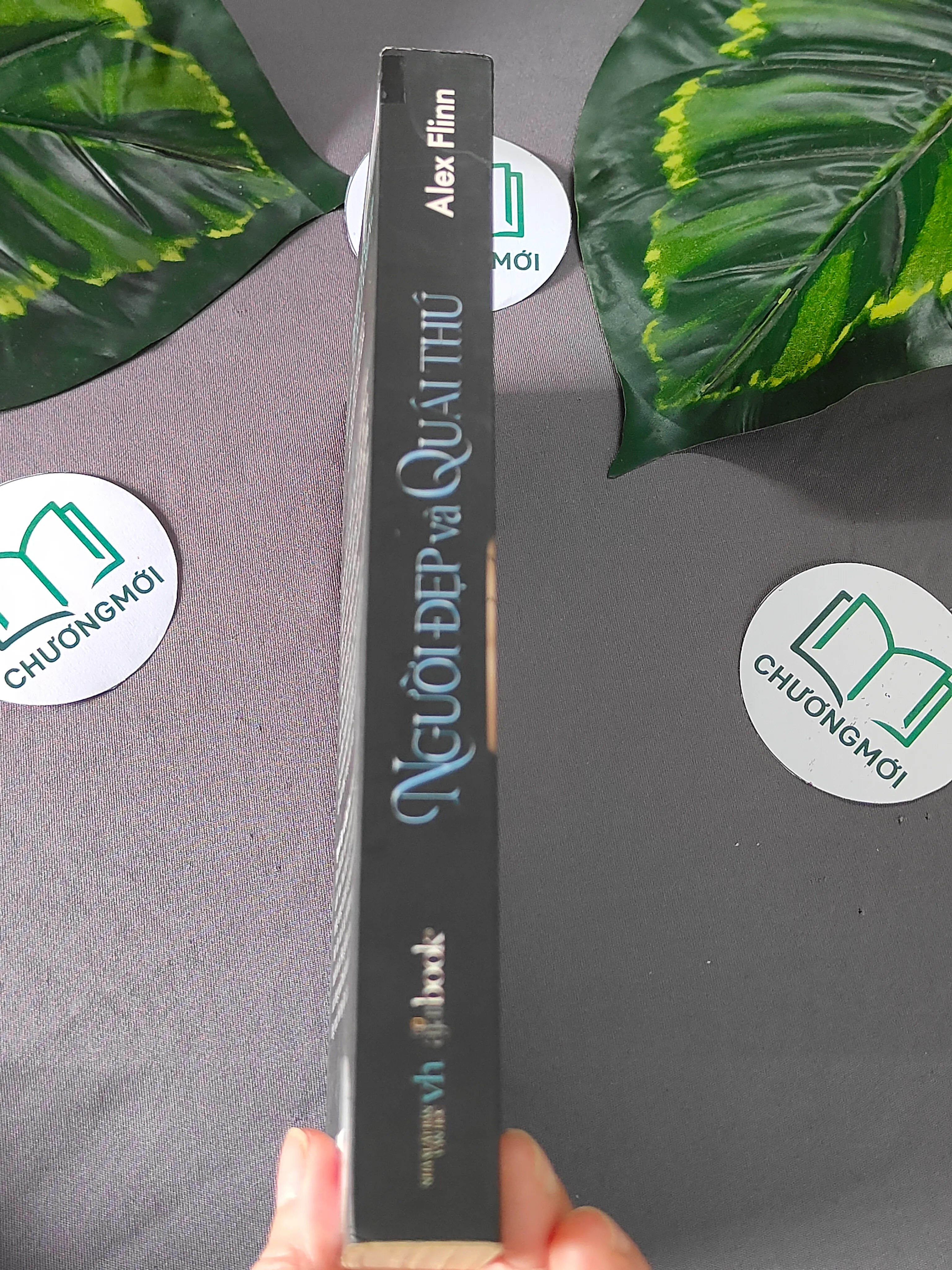 Người Đẹp và Quái Thú - Alex Flinn 603325