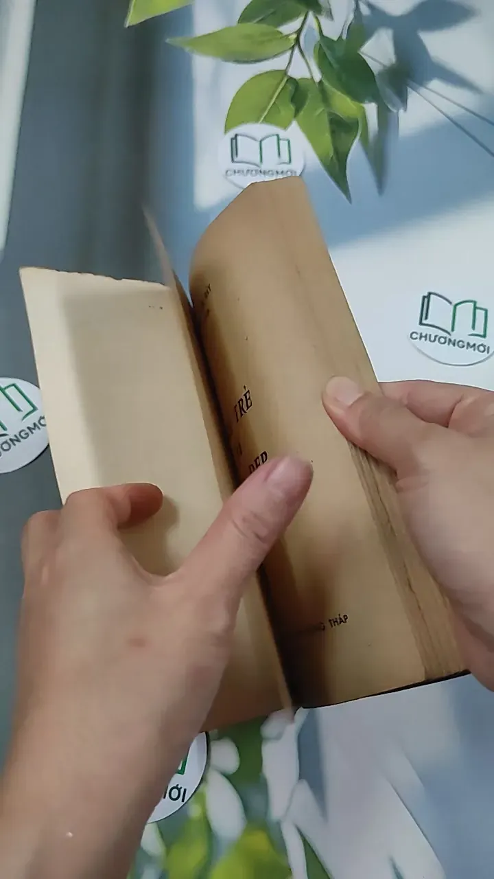 [MIỄN PHÍ BỌC SÁCH] [XƯA] Tuổi Trẻ Và Sắc Đẹp (1989) - BS. Nguyễn Ngọc Bảy 776022