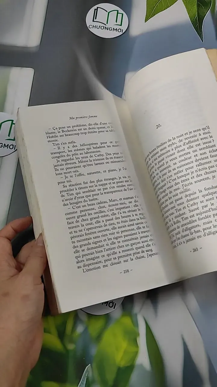 [MIỄN PHÍ BỌC SÁCH] Ma première femme - Yann Queffélec 754529