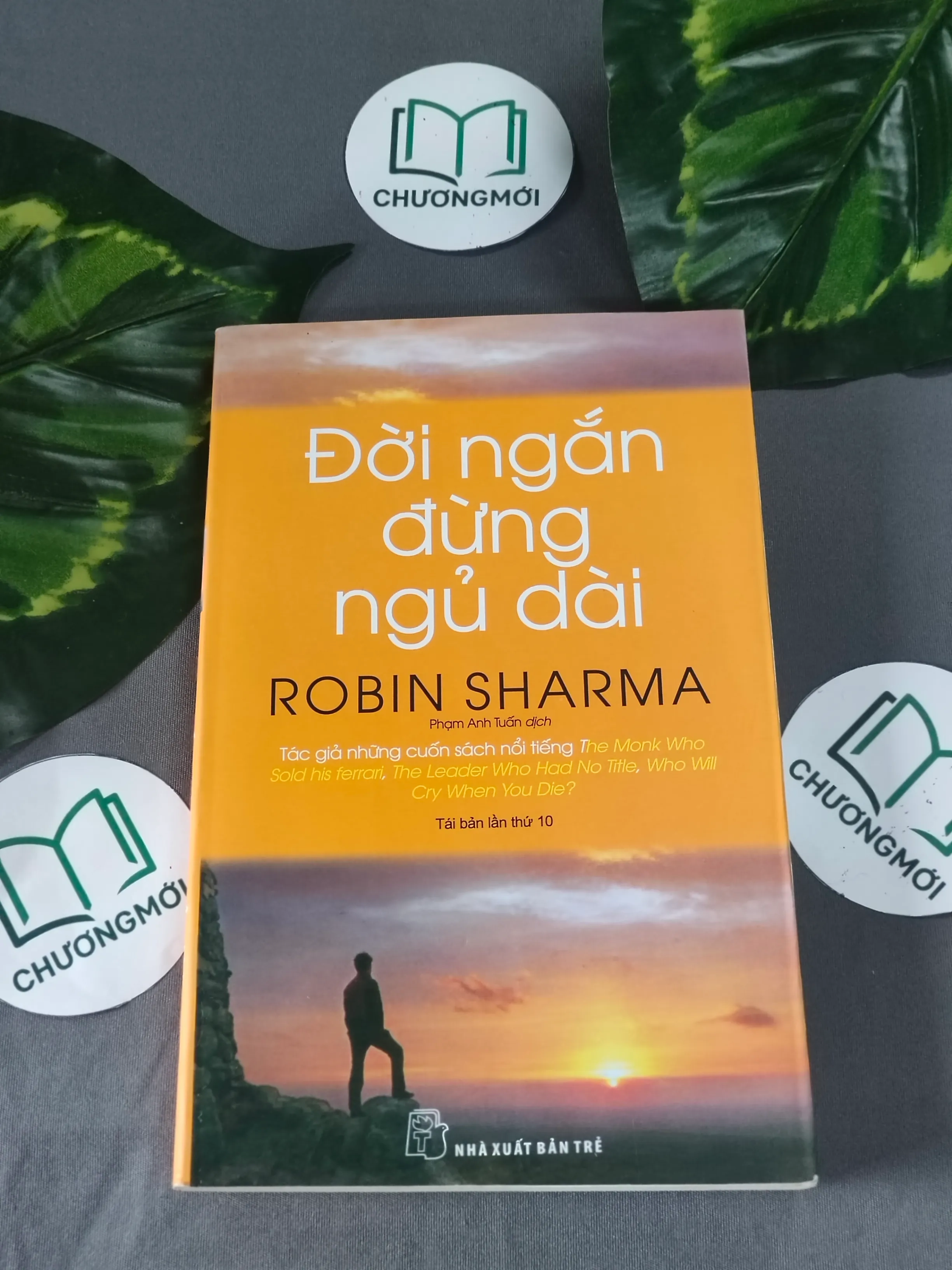 Đời Ngắn Đừng Ngủ Dài - Robin Sharma