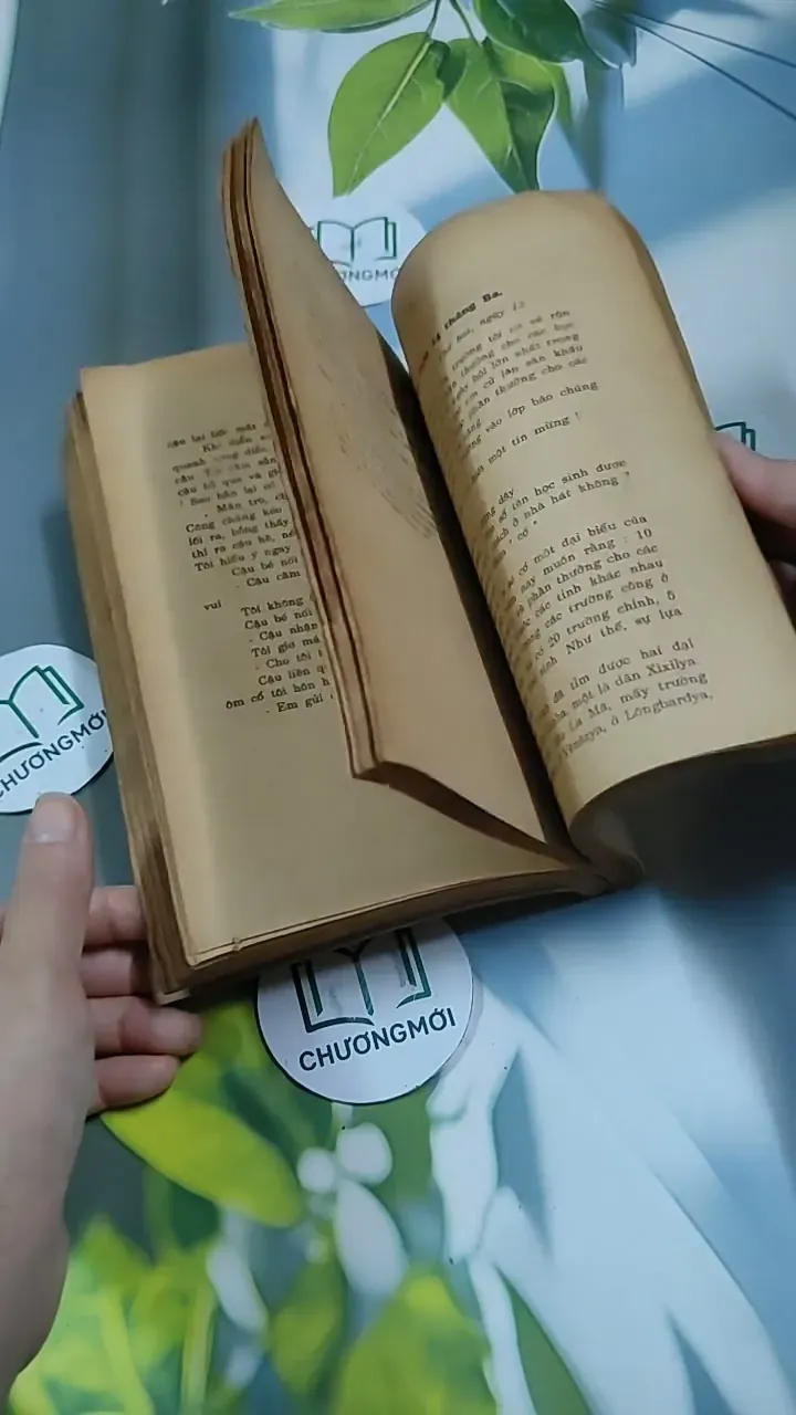 Tâm Hồn Cao Thượng (1989) 713894