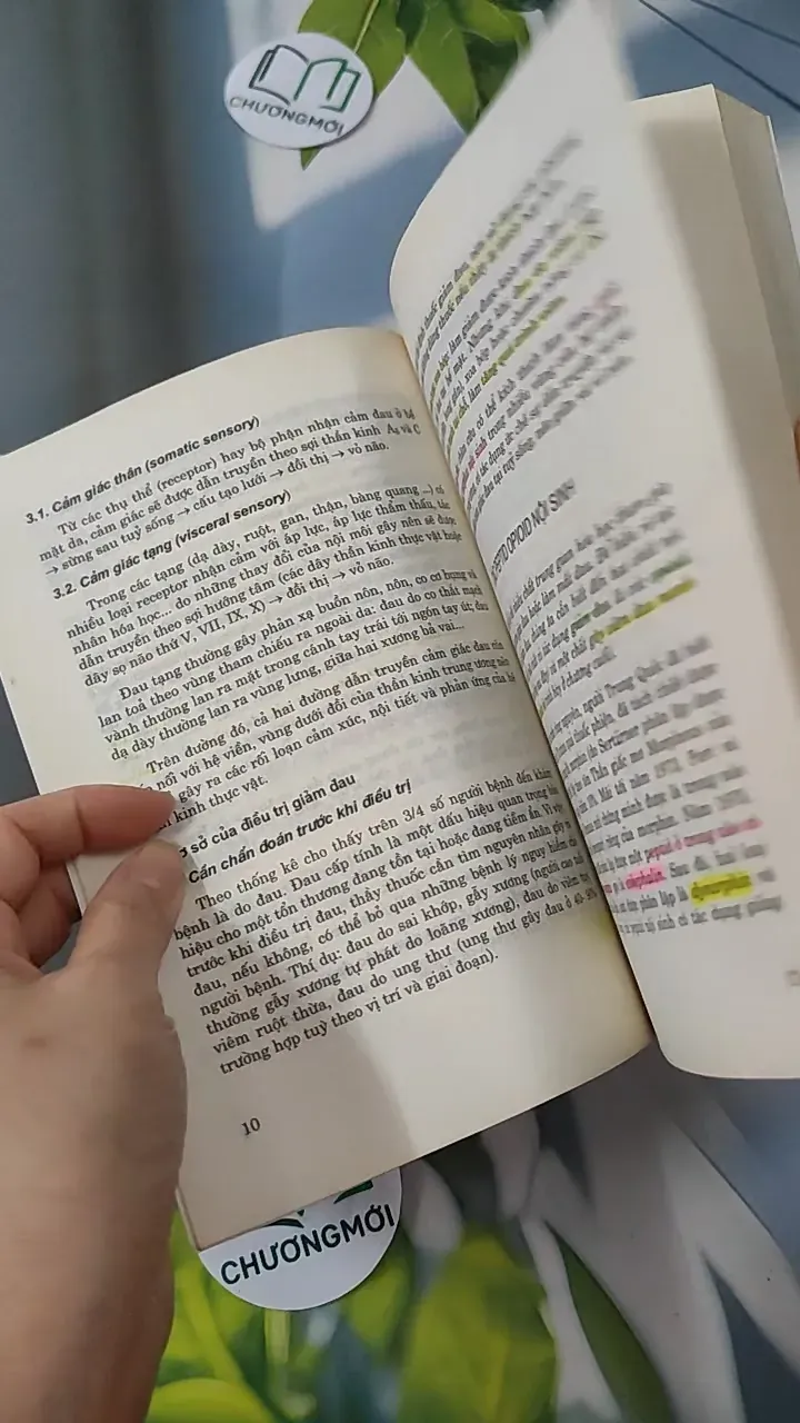 Các Thuốc Giảm Đau - Chống Viêm - PGS. TS. Đào Văn Phan 780807