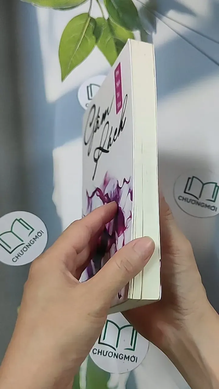 Gấm rách - Phỉ Ngã Tư Tồn 688659