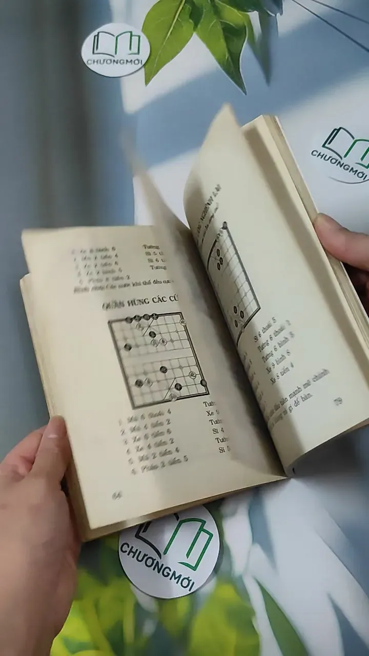 Những Thế Cờ Cao Thủ - Hồng Khánh 780859