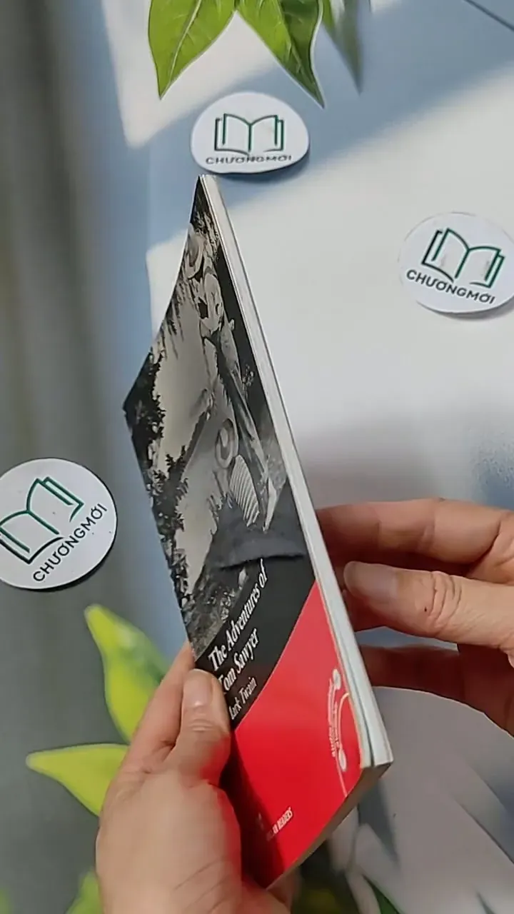 The Adventures of Tom Sawyer - Mark Twain 703069