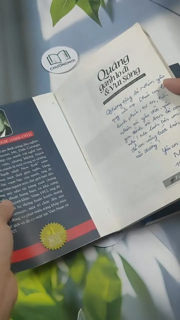 Combo: Quẳng Gánh Lo Đi & Vui Sống - Đắc Nhân Tâm - Dale Carnegie 715574